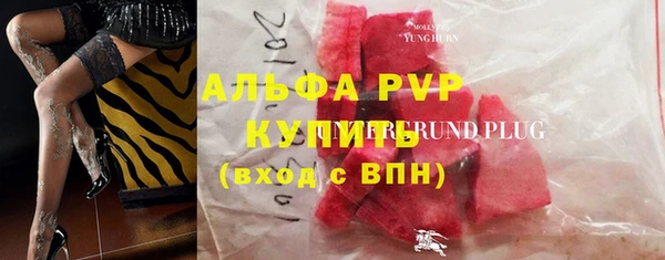 PSILOCYBIN Козельск