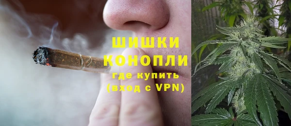 PSILOCYBIN Козельск