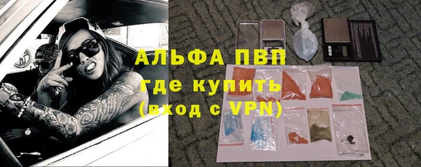 PSILOCYBIN Козельск