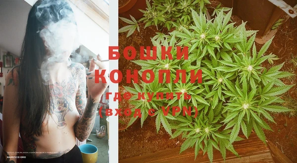 PSILOCYBIN Козельск